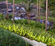 Bali Villa Niloufar Le jardin