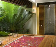 Bali Villa The Beji Thebejibathrub and shower