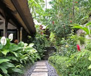 Luxury Villa in Bali