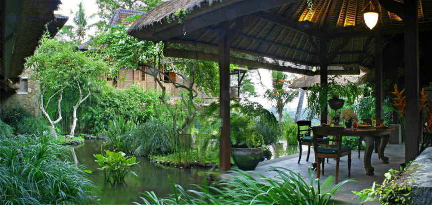 Dinning by the pond