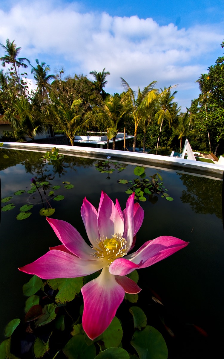 Luxury Villa in Bali