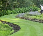 Bali Villa Puri Bawana Ricefield and lawn area .jpg