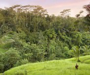 Bali Villa Vajra  View