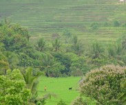 Villa Kirana Valey View